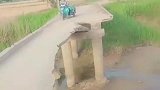 大哥, 全国人民都在替你着急, 你怎么还不快跑