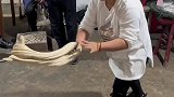 它叫什么名字，你还记得吗