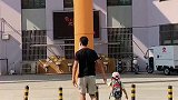 爸爸送娃不走寻常路，非要在最后一分钟冲刺，搞得老师都记住他们