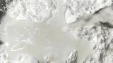水晶虾饺这样做家人都爱吃