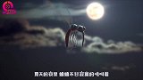 动画短片：蚊子用生命告诉我，吃饱必须逃，吃的太多很可能会没命