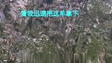 不是我心理素质好，而是你实力不行呐！小豹豹