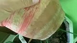 办法总比困难多，馋嘴小伙用花盆做烤馕