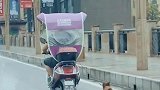 这样遛狗就省事多了，手也不冷了，腿也不痛了