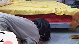女生东西掉床底下掏不出来