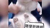眼不见为静