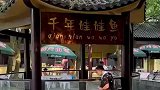 牌匾写着千年娃娃鱼，靠近一看不对劲