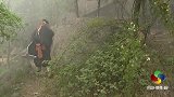 神配音《八戒考驾照被气哭》，看一遍笑一遍！