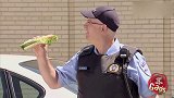 国外爆笑街头恶搞，美味热狗被海鸥淋上粑粑，一口吞下去笑坏司机