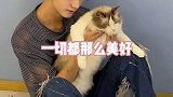 有帅哥你还闹，帅哥放开那只喵让我来……