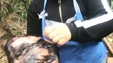 今天熏腊肉，一年才有一次，真的是太好吃了，美味可口