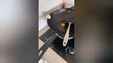 爆笑合集：这是什么奇怪物种？