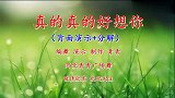 火爆DJ广场舞《真的真的好想你》演示分解，轻松好学