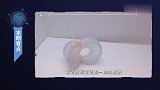 金属纳米粒子薄膜技术，机器人也能像变色龙一样，改变自身颜色！