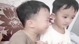 差点被赶出家门的人没伤心，劝架的人倒是伤心了，兄弟俩太可爱