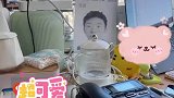 公司工位上摆杨迪照片护体，杨迪本人：就不能彩打吗