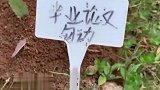 在农业大学里面一定要注意脚下