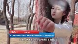 张子枫海边大片释出，穿白色仙女裙的海岸小公主，优雅与可爱并存