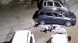 监控：这车主怎么得罪这些流浪狗了