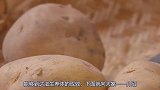 夏季哪些水果适合宝宝吃但吃水果要适量，当心过量伤肠胃