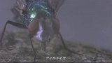 牛人发明“苍蝇枪”专打苍蝇，保证一枪一个准，看的好想买！