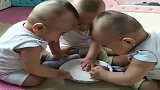 个月三胞胎兄弟的争抢大战，亲妈也好无奈，看完不许笑！