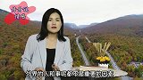真心爱你的男人，会给你3个“特权”，虚情假意的人做不到