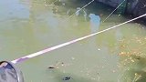 上什么班，钓鱼才是主流！