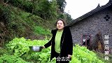 苗大姐做肥肠鱼，有魔性的肥肠可回弹，吃过一口就停不下筷子
