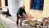 狗狗把挡住奶奶的轮胎叼走，为奶奶保驾护航
