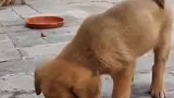 都是哥们，你跟我客气啥