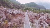 真正的西藏不在拉萨，也不在布达拉宫，而是在路上