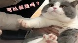 发现了猫咪的妙用！