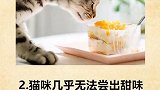 关于猫咪的冷知识。