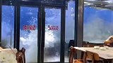 两女子被海浪吹到餐厅门口，老板：这是什么浪把二位给冲来了