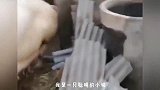 懒人有妙招，不下楼，照样可以遛狗！
