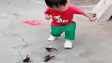 萌娃自从被小龙虾夹过，一见到就这反应，真是太搞笑了