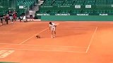 ATP-14年-小德红土备战 爱犬进场撒欢-新闻
