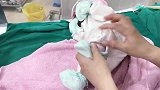 这个刚出生的宝宝颜值高呀，八个字“漂亮干净活泼可爱”