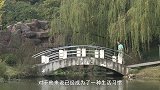 跑步-15年-上海国际马拉松：上马20年10人·丁菊九：20万公里跑步日记刻画跑步人生-专题