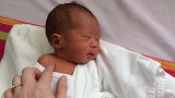 新生婴儿第五天，小露香肩，哈欠连连，小模样软萌化了