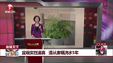 盆栽实在逼真 遵从妻嘱浇水5年