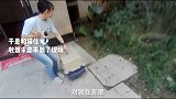 小奶猫日夜呼救变烟嗓，抓住瞬间疯狂对话呼噜噜