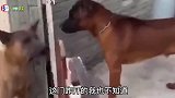 那些瞬间尴尬现场，最怕空气突然安静！