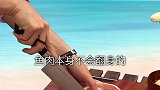 不可能有人其他答案的！烤鱼