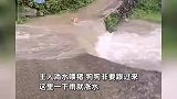 狗狗为了回主人身边不慎被水冲走，被冲下去的那一刻，心狠狠揪了一下