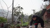姐妹俩干活腌萝卜，小厨煮牛肉火锅招待，大姐：咋有牛粪的味道？
