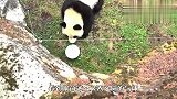 一只气球掉进熊猫园，国宝大熊猫吓坏了，网友：又心疼又好笑
