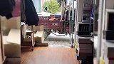说最狠的话做最暖心的事