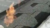 上人屋顶封露台，洛阳业主流行做的阳光房